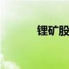 鋰礦股午后走強(qiáng) 天齊鋰業(yè)漲停