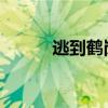 逃到鶴崗的年輕人，逃回了北京