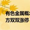 有色金屬概念股震蕩走強(qiáng) 常鋁股份、焦作萬(wàn)方雙雙漲停