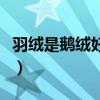 羽絨是鵝絨好還是鴨絨好（鵝絨好還是鴨絨好）