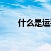 什么是運(yùn)費(fèi)險(xiǎn)理賠（什么是運(yùn)費(fèi)險(xiǎn)）