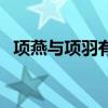 項燕與項羽有關系嗎（項燕與項羽的關系）