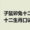 子鼠卯兔十二生肖口訣快速記憶法（子鼠卯兔十二生肖口訣）