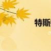 特斯拉0息購車活動再延期
