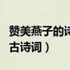 贊美燕子的詩句古詩詞小學（贊美燕子的詩句古詩詞）