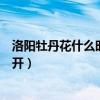洛陽牡丹花什么時(shí)候開門票多少錢（洛陽的牡丹花什么時(shí)候開）