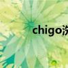 chigo洗衣機(jī)使用教程（chigo）