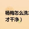楊梅怎么洗才干凈 全是小蟲(chóng)子（楊梅怎么洗才干凈）