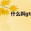 什么叫g(shù)t跑車(chē)（gt跑車(chē)是什么牌子）