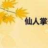 仙人掌開花圖片（仙人掌開花）