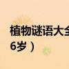 植物謎語(yǔ)大全兒童3到6歲（謎語(yǔ)大全兒童3到6歲）