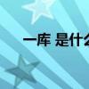 一庫(kù) 是什么意思（一庫(kù)一庫(kù)什么意思）