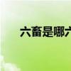 六畜是哪六畜簡(jiǎn)易圖（六畜是哪六畜）