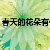 春天的花朵有什么花（春天開的花有什么花）