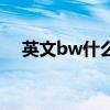 英文bw什么意思（bw是什么意思縮寫）
