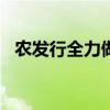 農發(fā)行全力做好2024年秋糧收購信貸工作