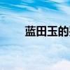 藍(lán)田玉的鑒別方法（玉的鑒別方法）