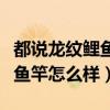 都說(shuō)龍紋鯉魚竿現(xiàn)在不太好是真是假（龍紋鯉魚竿怎么樣）