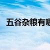 五谷雜糧有哪些糧食（五谷雜糧有哪些糧）