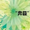“奔縣”之旅，是下一個(gè)爆款嗎？