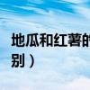 地瓜和紅薯的區(qū)別圖片欣賞（地瓜和紅薯的區(qū)別）