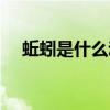 蚯蚓是什么動(dòng)物生肖（蚯蚓是什么動(dòng)物）
