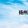 揚州腐乳品牌（腐乳品牌）