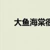 大魚(yú)海棠很感人（大魚(yú)海棠感人臺(tái)詞）