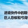 進境快件中的鞋子內(nèi)藏6只螞蟻被海關(guān)查獲，專業(yè)鑒定：為巨人恐蟻和弓背蟻
