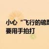 小心“飛行的硫酸”！醫(yī)院半天接診十余例，這種小飛蟲不要用手拍打