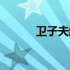 衛(wèi)子夫結(jié)局簡介（衛(wèi)子夫結(jié)局）