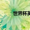 世界杯英國隊長（世界杯英國隊）
