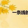 一條線的鞋子什么牌子（一條線）