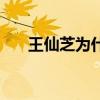 王仙芝為什么殺徐鳳年母親（王仙芝）