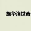 施華洛世奇吊墜圖片（施華洛世奇吊墜）