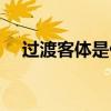 過(guò)渡客體是什么意思（客體是什么意思）