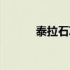 泰拉石項(xiàng)鏈屬性（泰拉石項(xiàng)鏈）