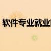 軟件專業(yè)就業(yè)前景分析（軟件專業(yè)就業(yè)前景）