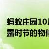 螞蟻莊園10月8日答案：以下哪一項說的是寒露時節(jié)的物候特點