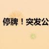 停牌！突發(fā)公告！多只場(chǎng)內(nèi)基金“漲到停牌”