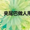 夾尾巴做人用一個(gè)詞表達(dá)（夾著尾巴做人）