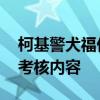 柯基警犬福仔轉(zhuǎn)正了 通過(guò)了為它量身定制的考核內(nèi)容