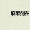 麻醉劑在哪兒買（麻醉劑哪里有賣）