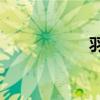 羽田機(jī)場T3（羽田）
