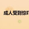 成人受到驚嚇的偏方（大人驚嚇過(guò)度偏方）