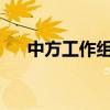 中方工作組護(hù)送在巴遇難同胞遺體回國(guó)