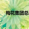 梅花集團總部怎么樣（梅花集團怎么樣）