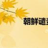 朝鮮譴責(zé)韓國無人機滲透至平壤