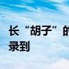 長“胡子”的蛙！科研人員在南岳衡山首次記錄到