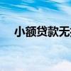 小額貸款無擔(dān)保貸款（無擔(dān)保小額貸款）